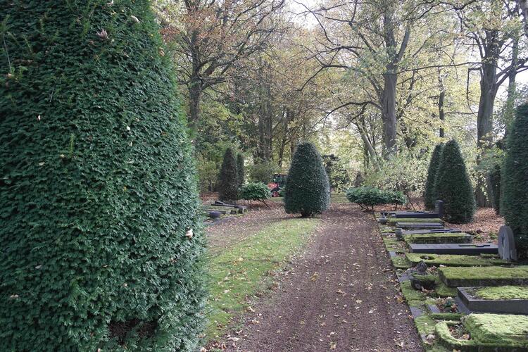 Vue dans le cimetière de Schaerbeek, 2021