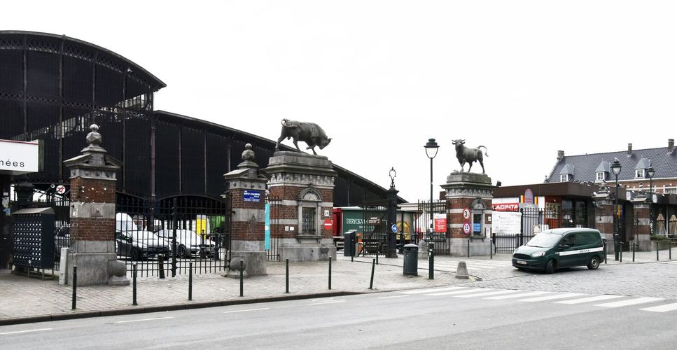 Rue Ropsy Chaudron 24, abattoirs et marchés de Cureghem, vue de l’entrée centrale, (© ARCHistory, 2019)