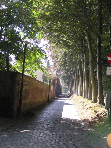 Avenue de la Clairière, vue générale, 2007