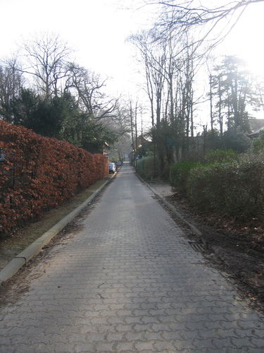 Avenue du Vivier d'Oie, vue générale, 2007