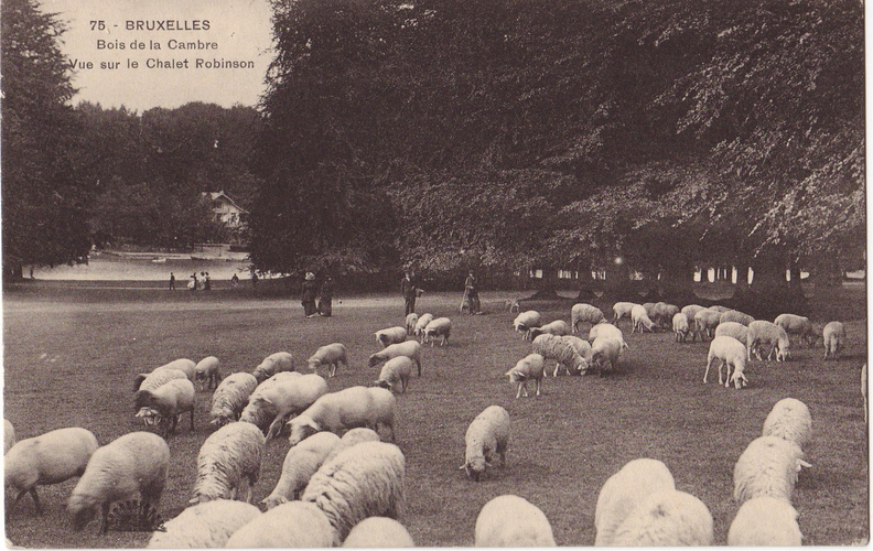 Bois de La Cambre, s.d. (Collection cartes postales Dexia Banque)