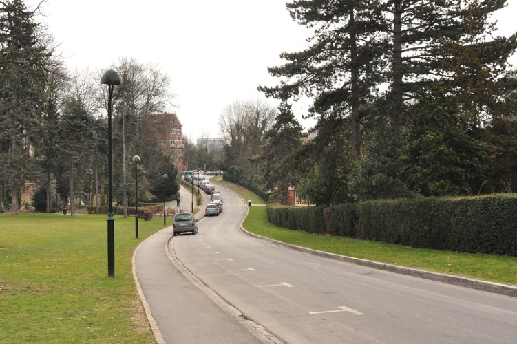Avenue Ambassadeur Van Vollenhoven, vue vers l'avenue des Azalées, 2013