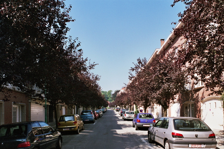 Rue Martin Lindekens, 2005