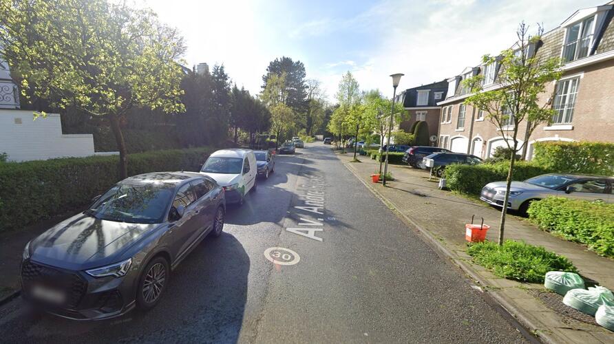 André Ryckmanslaan, ©google maps, 2024