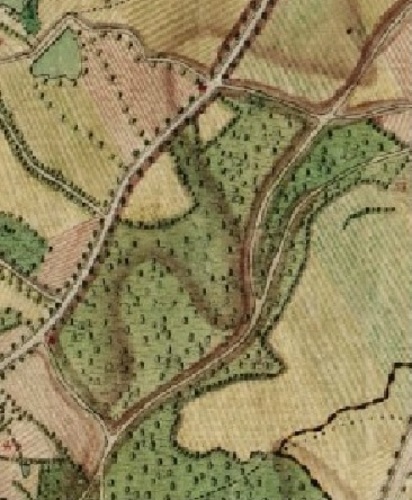 Zone du futur Parc Duden, détail de la carte de Ferraris, 1777, ©Bibliothèque royale de Belgique, Bruxelles, Section Cartes et Plans.