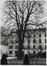 Rue des Ursulines 6, angle rue d'Accolay, arbre dans le jardin, ancien Refuge des Ursulines. Résidence des Ursulines, 1986