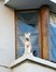 Ernest Salustraat 60, gesculpeerde hond op erker in eerste verdieping, ARCHistory / APEB, 2018