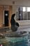 zwembad 'Neptunium', het klein bad, zeehond door René Harvent, 2012