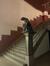 Ancienne salle de cinéma ALBERT HALL, l'escalier dans le hall monumental, 2026