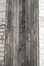 Bergensesteenweg 691-693, detail van houten loods, 2015