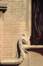 Volute rehaussée d'une acanthe, Hôtel Hannon, av. de la Jonction 1, Saint-Gilles, 1902, architecte Jules Brunfaut, photo Ch. Bastin & J. Evrard © MRBC