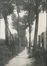 L’ancien chemin rural des Saules, s. d. (vers 1925-1935), BeeldbankBrussel 